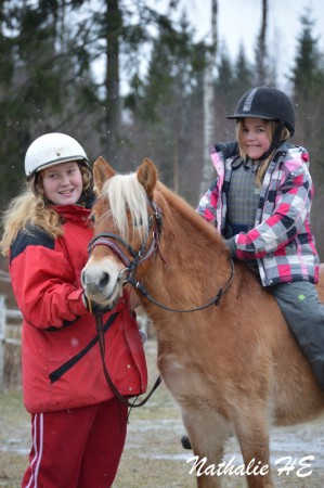En barbackatur med lätt snöfall.