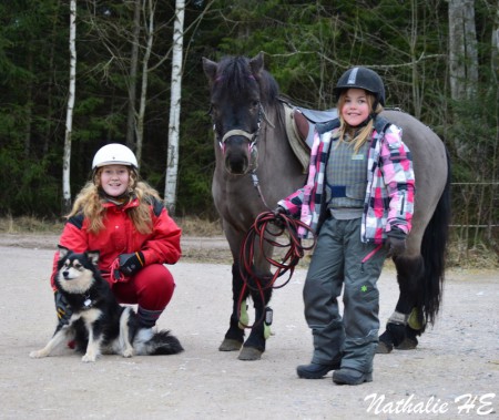 Här på gården finns det ett par hundar också.